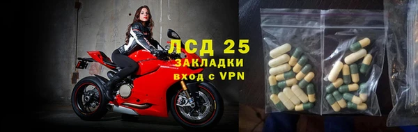 ГАЛЛЮЦИНОГЕННЫЕ ГРИБЫ Алзамай