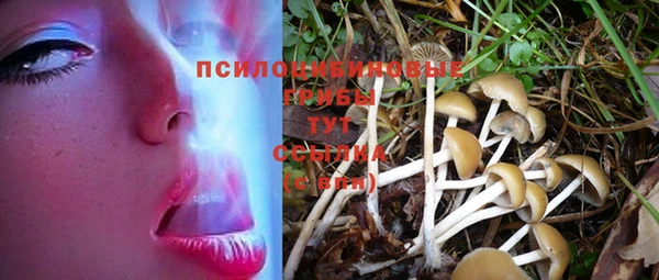 гашик Заволжье