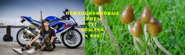 ГАЛЛЮЦИНОГЕННЫЕ ГРИБЫ Алзамай