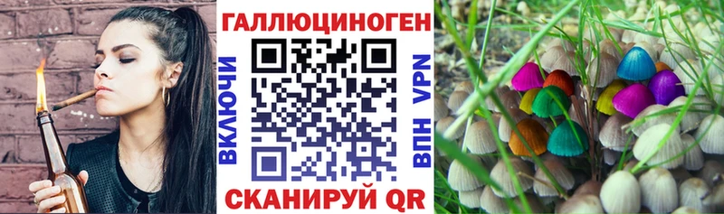 купить Билибино Псилоцибиновые грибы прущие грибы